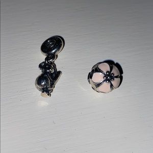 Pandora charms